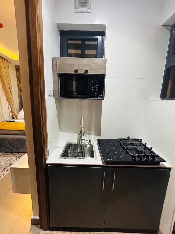 a small kitchen with a stove and a microwave at Luxury Studio Apartment in Ilado
