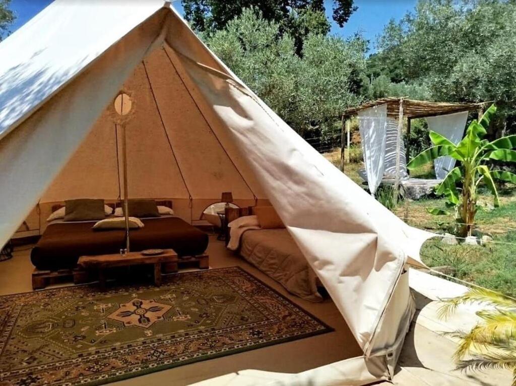 Golden Camp