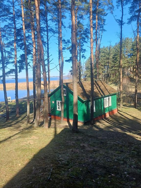 a green cabin in the woods next to some trees at Vasaras mājiņa pie Rāznas ezera Nr 17 in Ragi