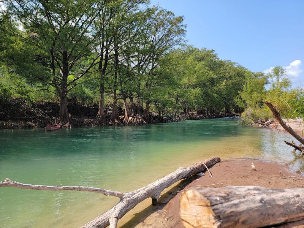 a river with green water and trees on the shore at La cabaña del sabino in Ayutla