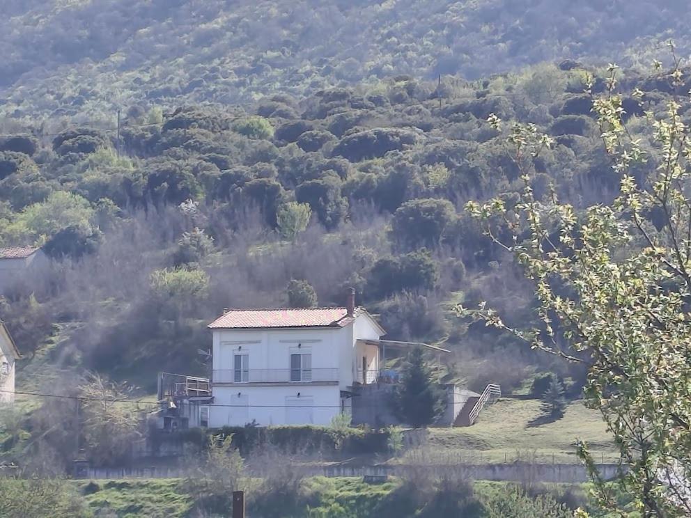 a white house on the side of a hill at La Rosa in Paliouriá