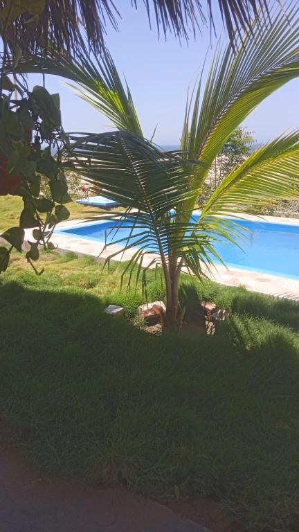 a palm tree sitting on top of a beach at Casa verde in Vichayito