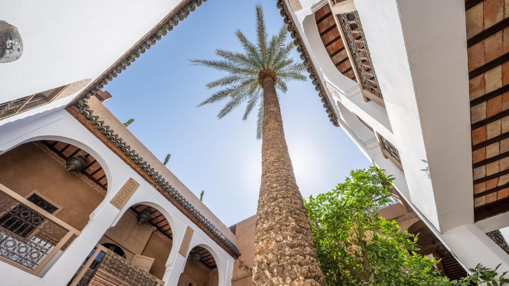 a palm tree in front of a building at Riad Maison Palmier in Marrakesh