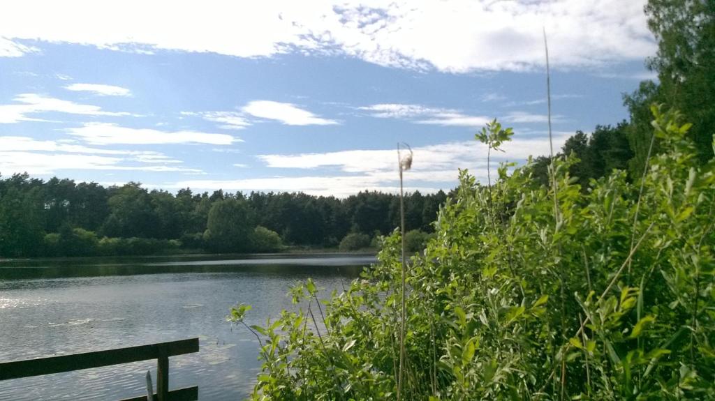 Príroda v okolí dovolenkového domu