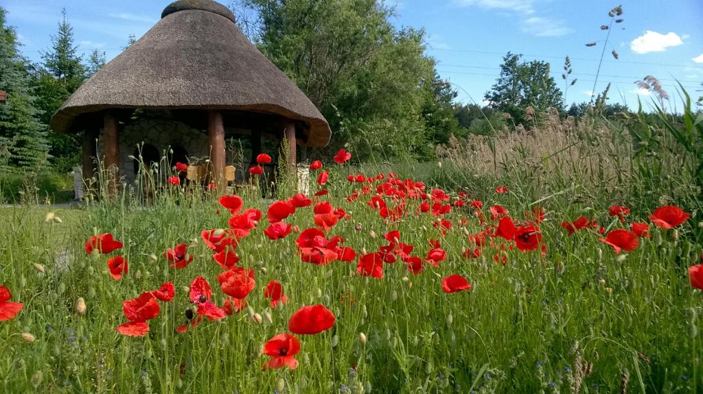 Vonkajšia záhrada v ubytovaní Agroturystyka Zatom Stary