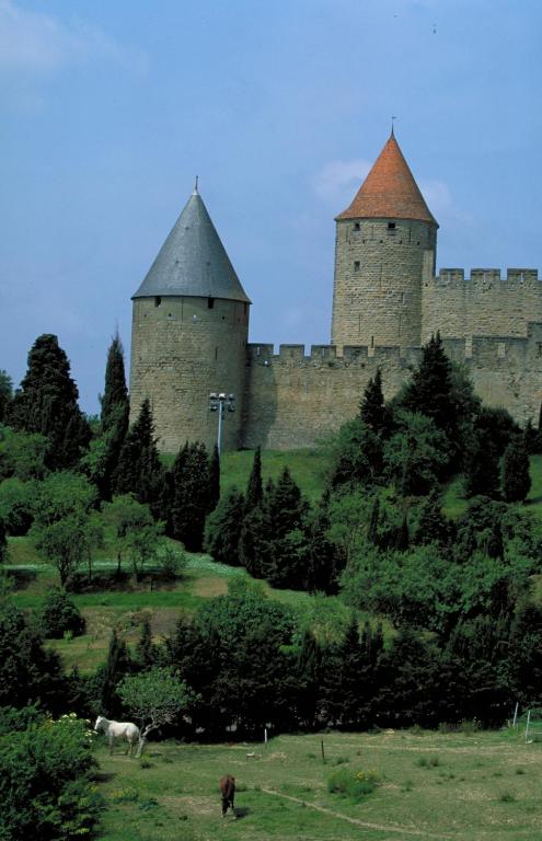 Fotografie z fotogalerie ubytování ibis Carcassonne Centre - La Cité v Carcassonne