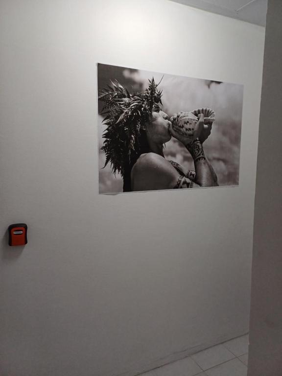HIBISCUS - Chambre centre ville Papeete - photo 9 - Tahiti, Polynésie