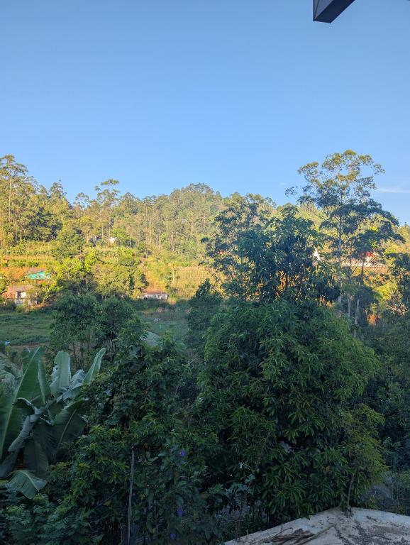 a tree in the middle of a field with trees at Luxforge home in Bandarawela