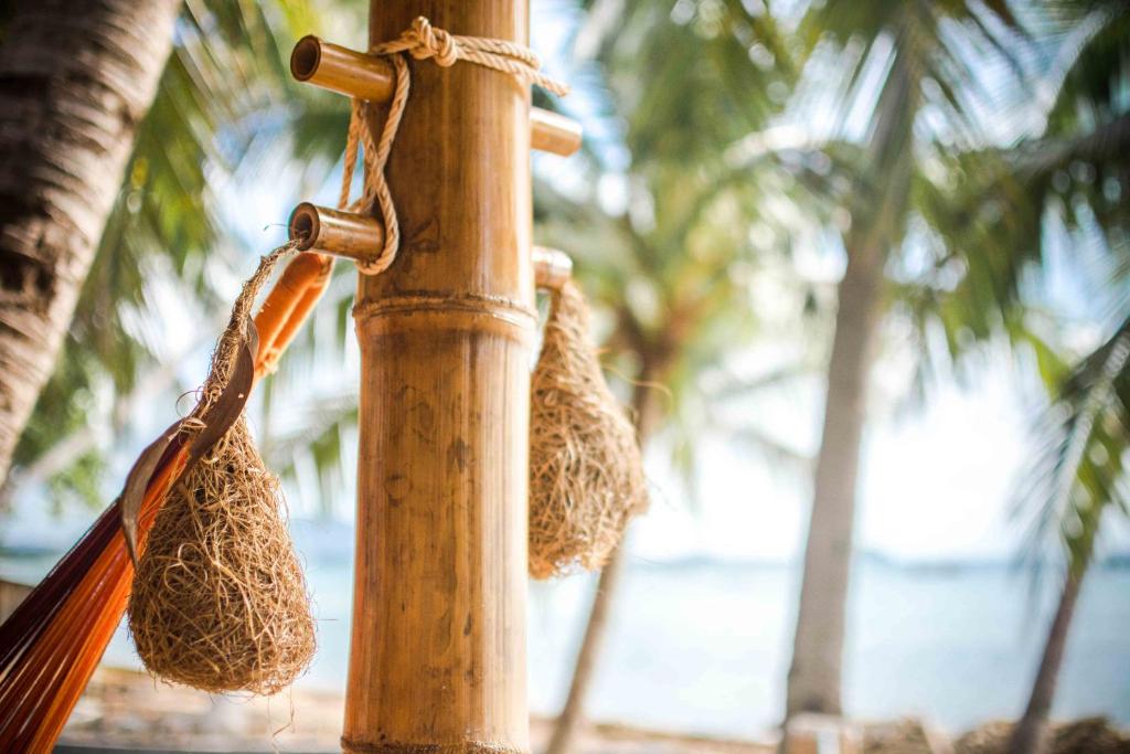 The Mud - Eco Hotel - 5