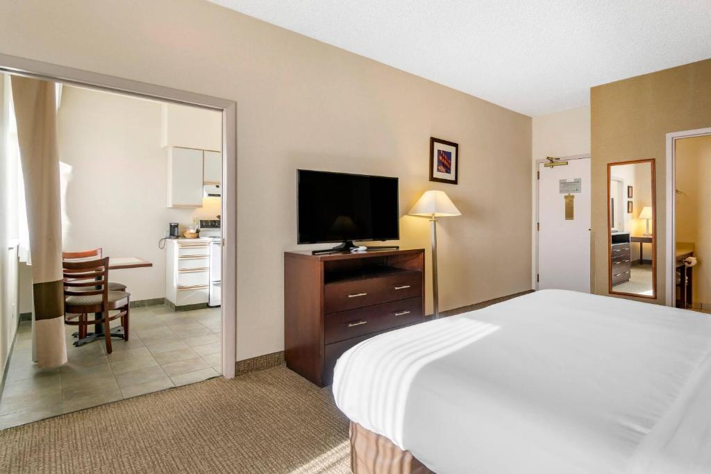 Comfort Inn & Suites Seattle North photo