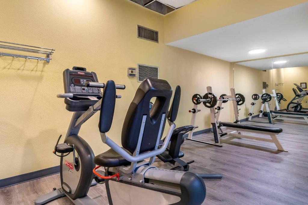 Comfort Inn & Suites Seattle North photo