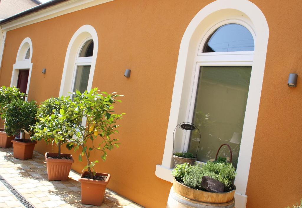 Zahrada ubytování Weingut Jan Ulrich