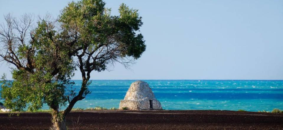 Trulli Resort Monte Pasubio Trulli bbalberobellocom - 7