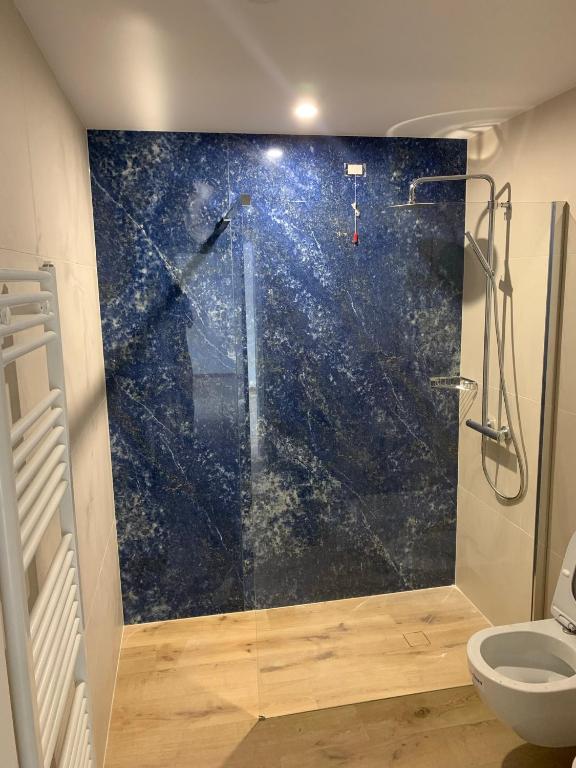 a shower with a glass door in a bathroom at I Castelli - Alle 5 Torri in Mezzolombardo
