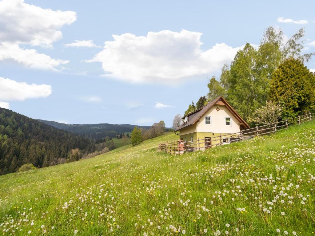 ein Haus auf einem Hügel inmitten einer Blumenwiese in der Unterkunft Berghütte in Sankt Andrä bei Koralpe in Reisberg