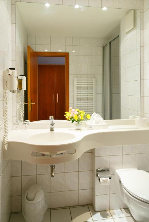 Hotel Goldener Fasan - Single Room