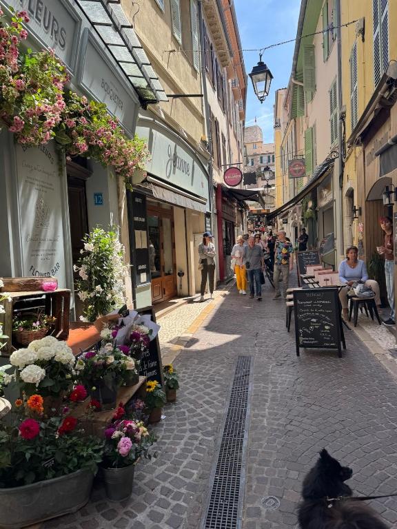 5 SADE - Apartment in Antibes old town