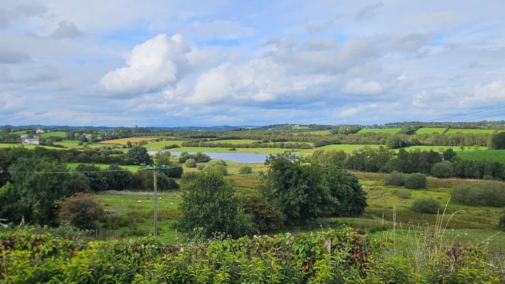 a view of a field with a lake in the distance at lakeview Guesthouse Virginia in Lisgrea