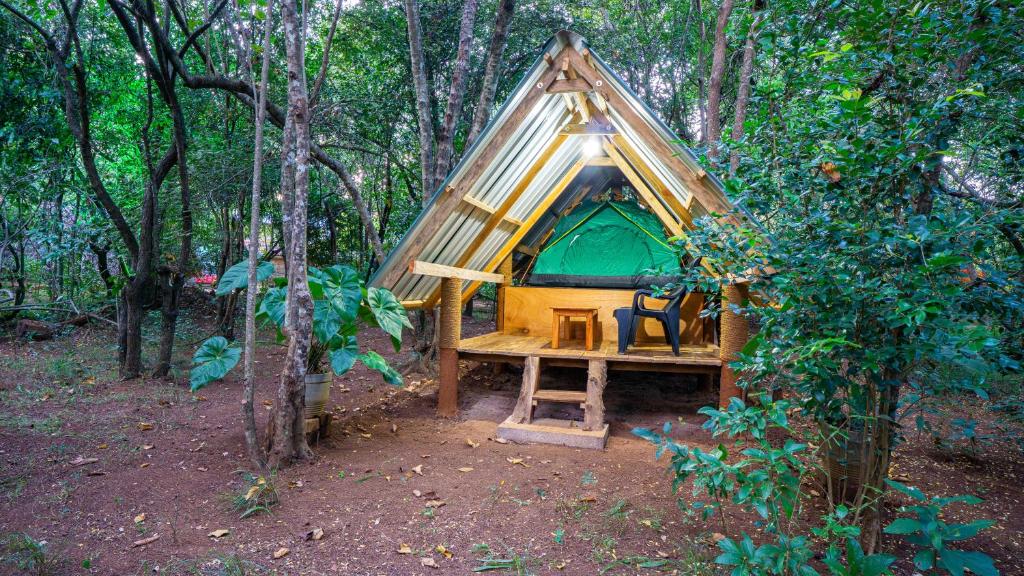a green tent in the middle of a forest at Sigiri Jungle Camping in Sigiriya