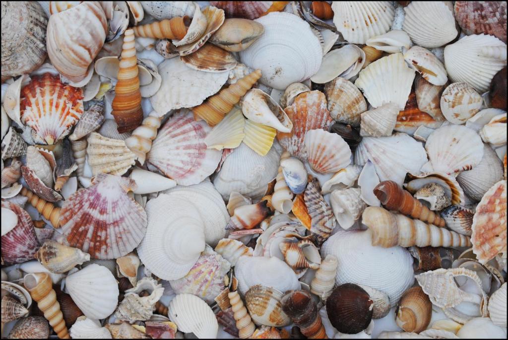 Foto sihtkohas Donnalucata asuva majutusasutuse Hotel Acquamarina galeriist
