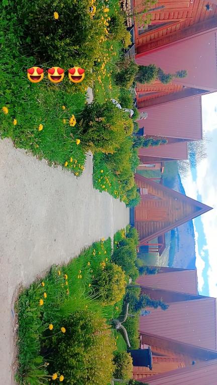 an overhead view of a building with trees and flowers at PROKLETIJE COTAGESEe in Plav