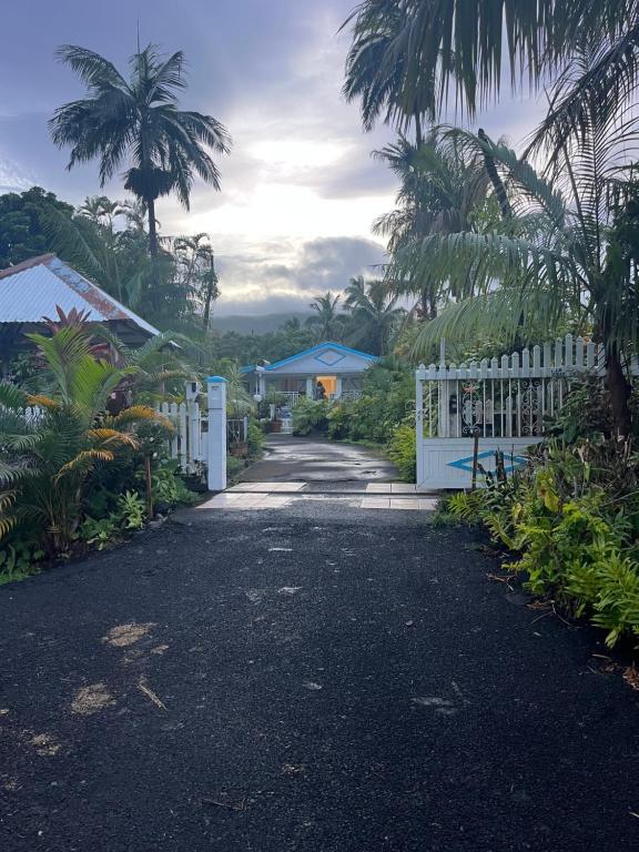 a driveway with a white fence and palm trees at LaKour Fleurie Chambres d hôtes in Sainte-Rose