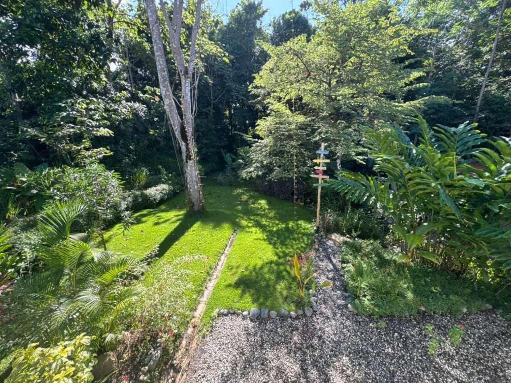 an aerial view of a garden with a tree at Casa Rio Tortuga - Colibri in Tortugal