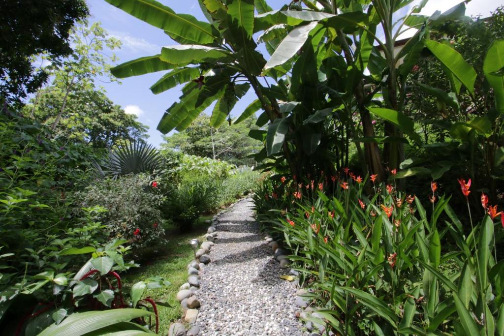 a garden path with flowers and plants at Casa Rio Tortuga - Butterfly in Ojochal