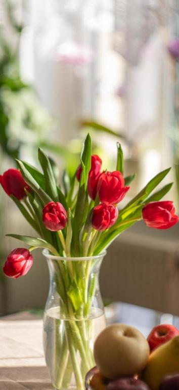 a vase filled with red tulips sitting on a table at Studio 21 in Hasselroth