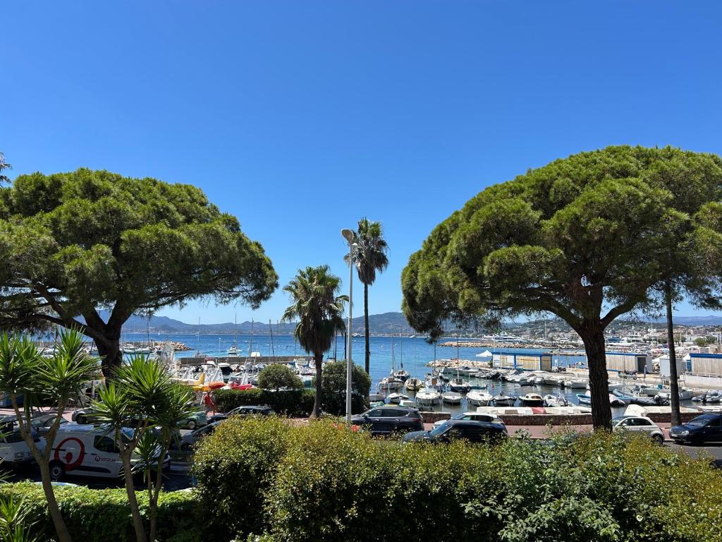 Croisette Palm Beach Amazing SeaView