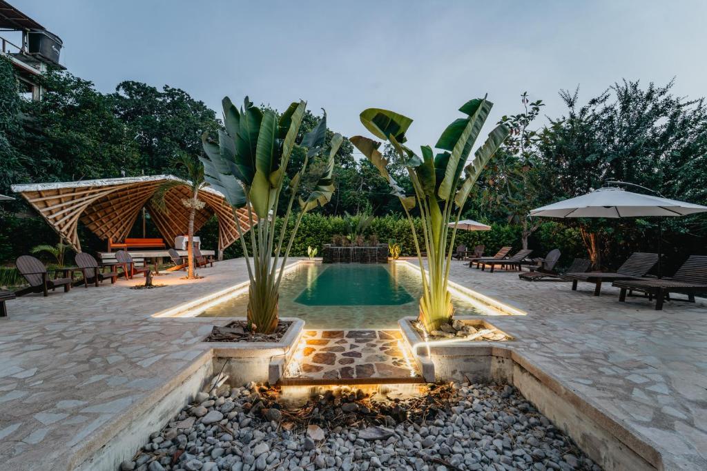 a swimming pool with two palm trees in a backyard at Hostal La Media Luna Palomino in Palomino