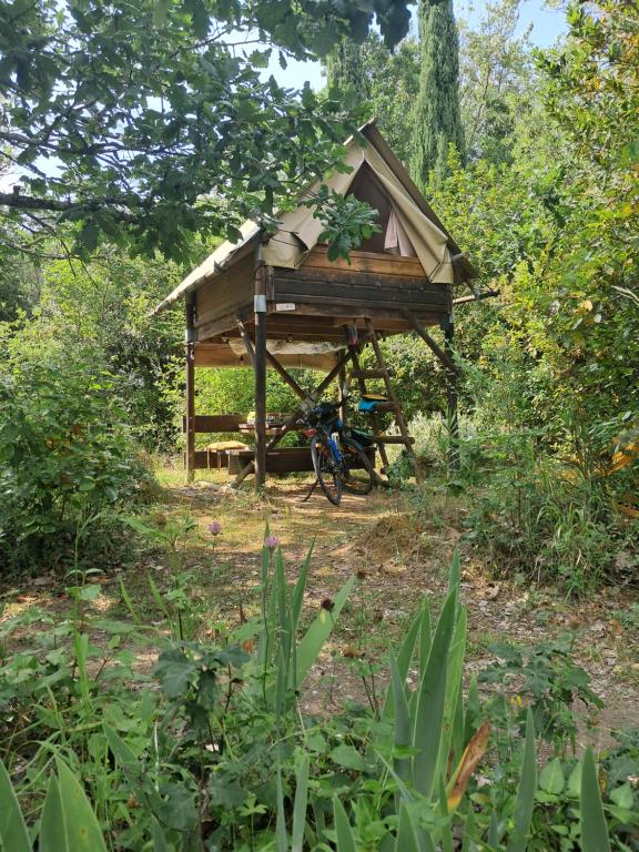 Cabane au bord du Canal du Midi