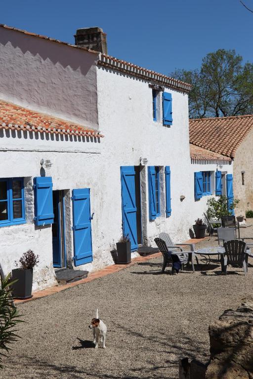 a cat standing in front of a building with blue shutters at La Solitude in Bois-de-Cené