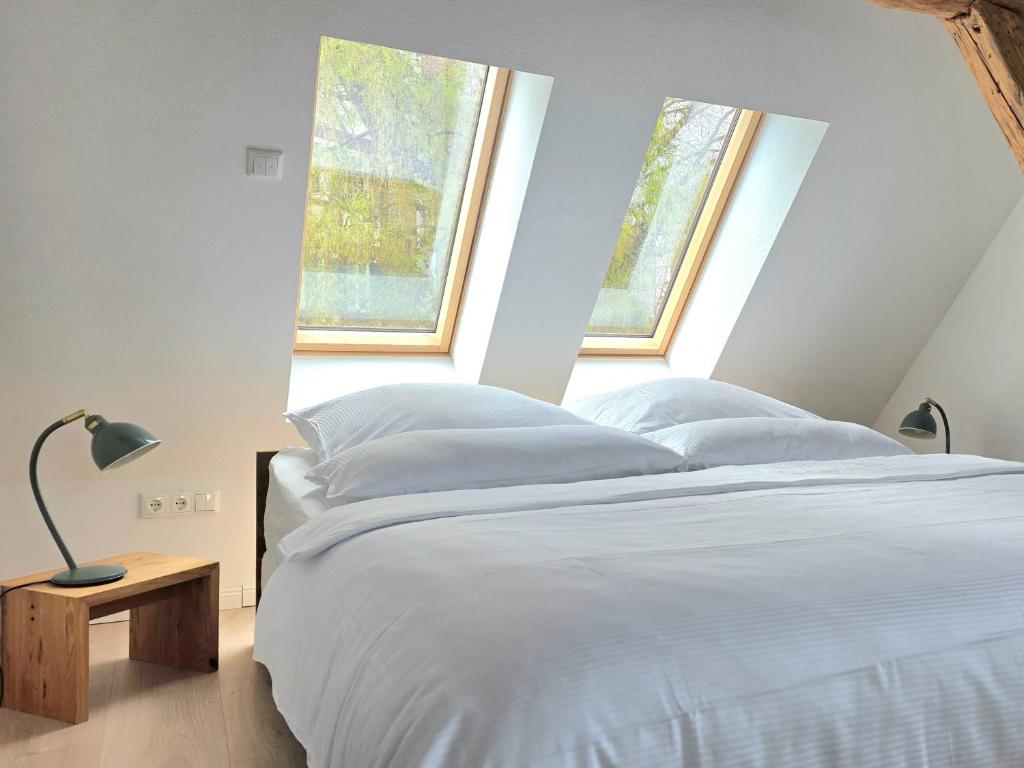 Apartments am Kirchbrunnen in der Rhön - EG Familie und Workation - DG Romantik - Estudio Deluxe Con Cama Grande