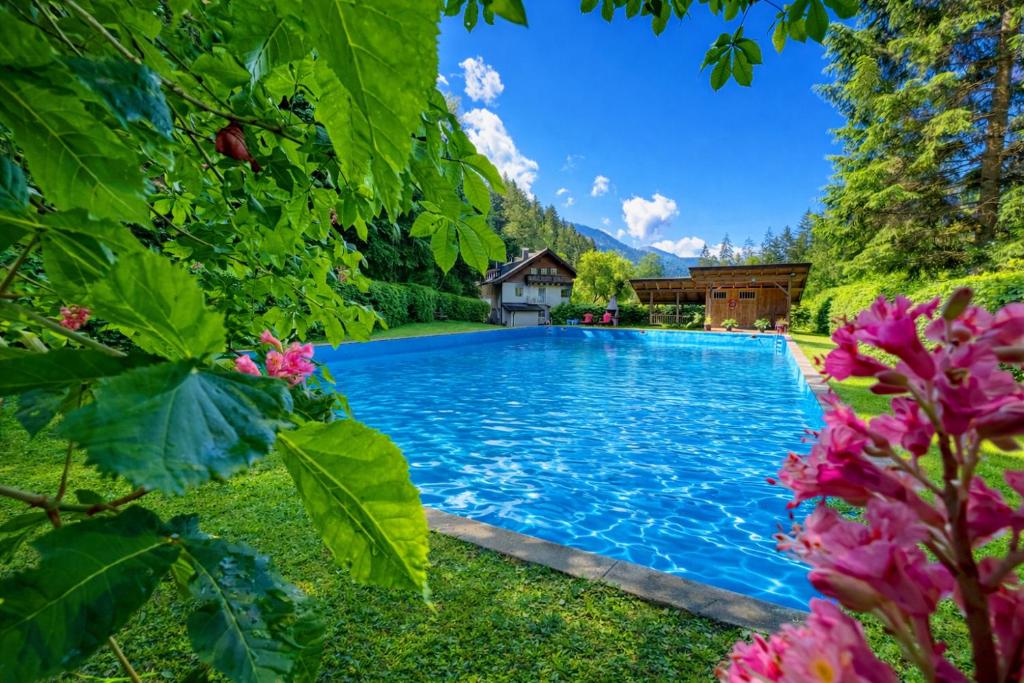 a large swimming pool in a yard with flowers at Beim Talschuster in Scheffau am Wilden Kaiser