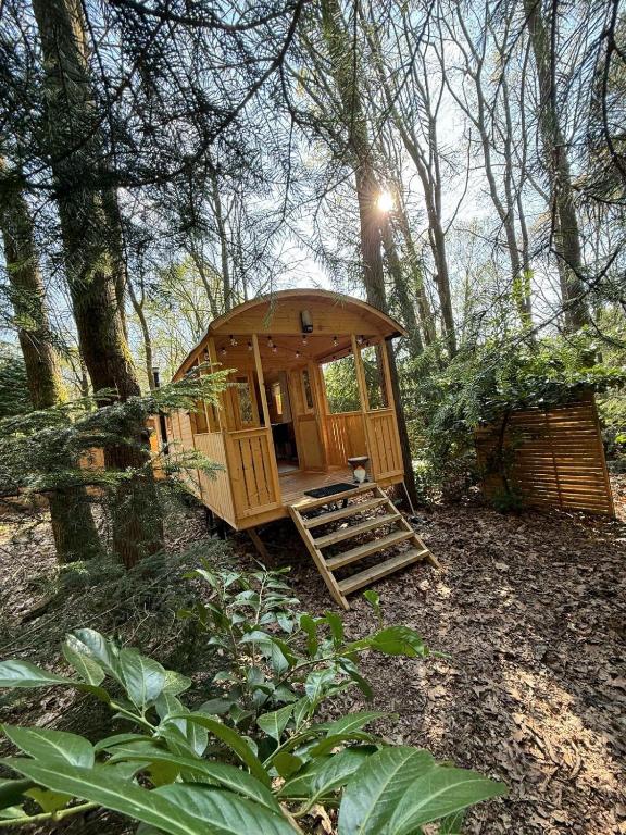 a wooden cabin in the middle of a forest at Pipowagen aan het Wandelpad in Lanaken
