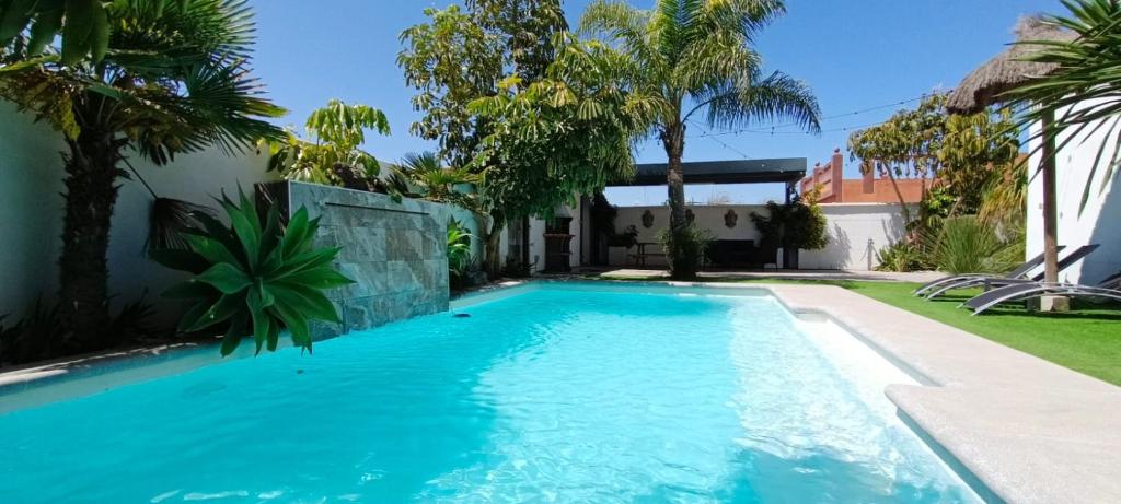 a swimming pool in a yard with palm trees at Angkor Wat Village in Puerto Real