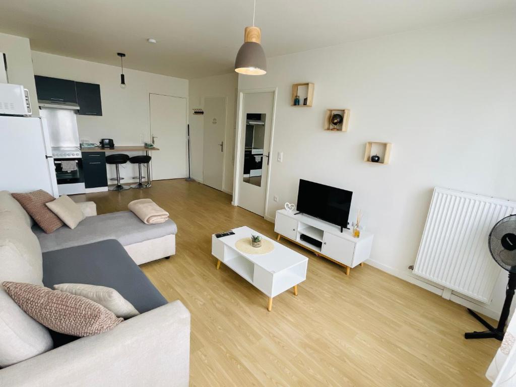 a living room with a couch and a tv at Appartement cosy proche Paris CDG RER B Disneyland Paris Parc Astérix in Le Blanc-Mesnil