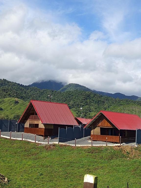 a couple of barns with red roofs in a field at Cabaña 1 Alajuela, San Carlos, Venecia, Marsella in Pueblo Nuevo