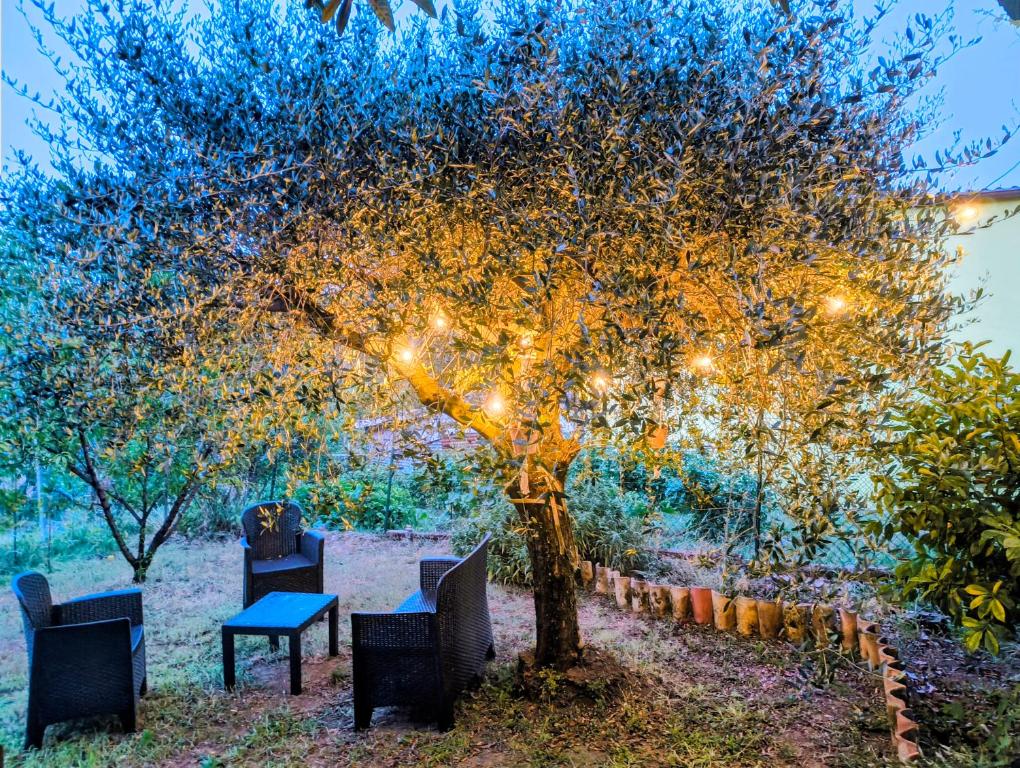 a tree with lights on it with chairs and a table at Alloggio DON ESTEBAN in Santa Maria della Versa