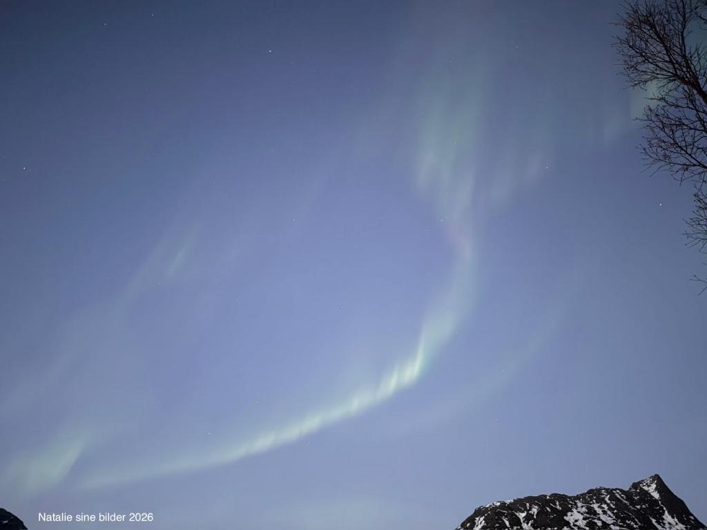a jet trail in the blue sky at Stranda Apartment in Senja