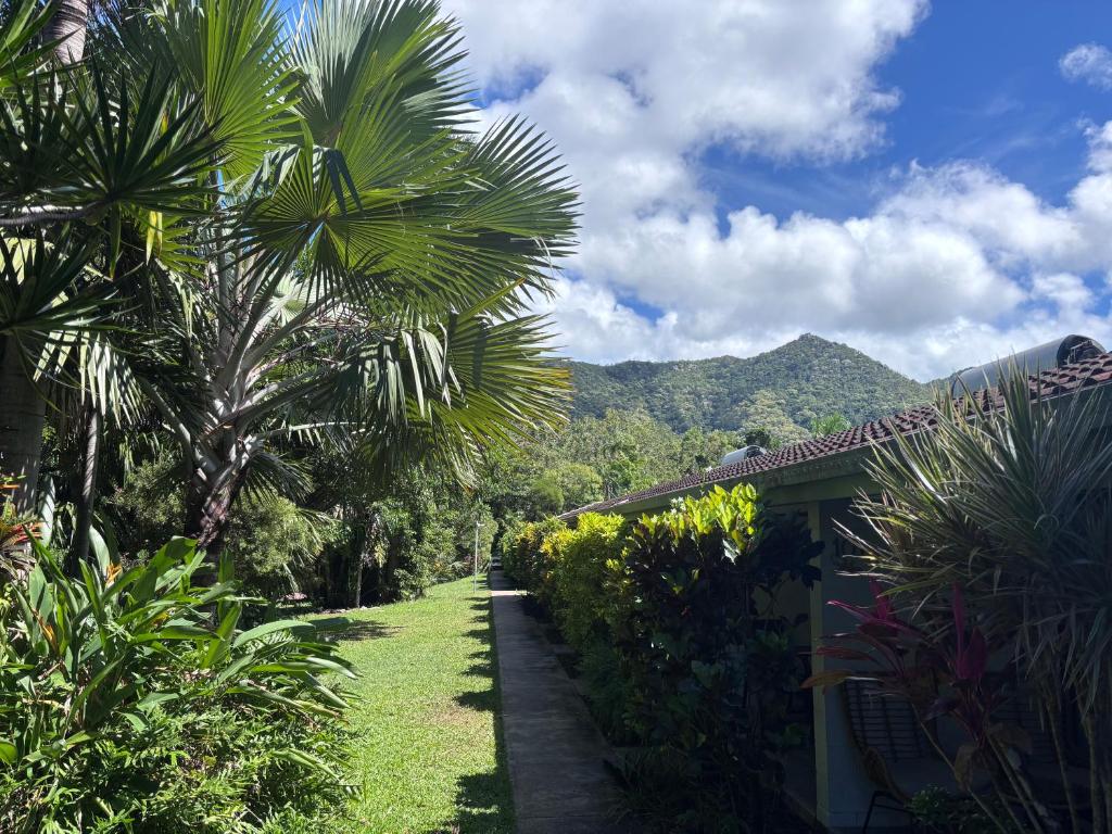 a garden with palm trees next to a house at 71 Mandalay in Nelly Bay