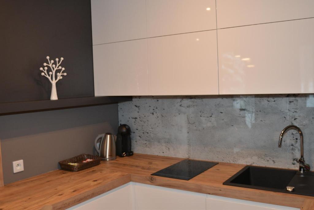 Kuchyňa alebo kuchynka v ubytovaní Apartament Ornak