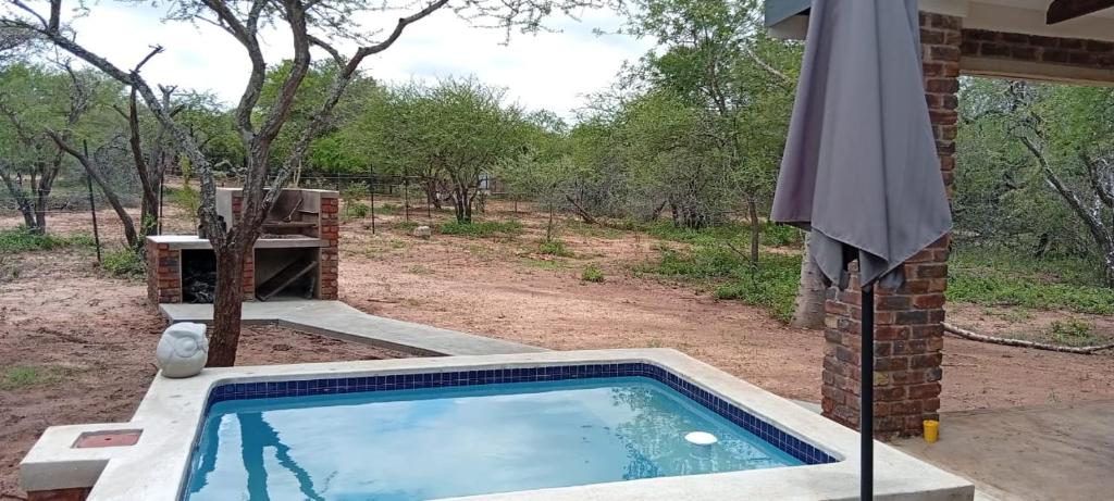 a swimming pool with an umbrella next to a yard at Vachellia View in Marloth Park