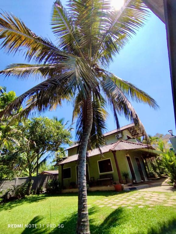 a palm tree in front of a house at Sithula Villa in Bentota
