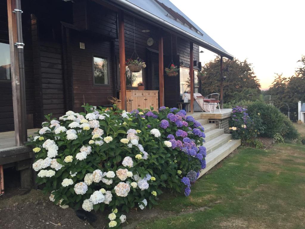 Zahrada ubytování Mountain View Lodge