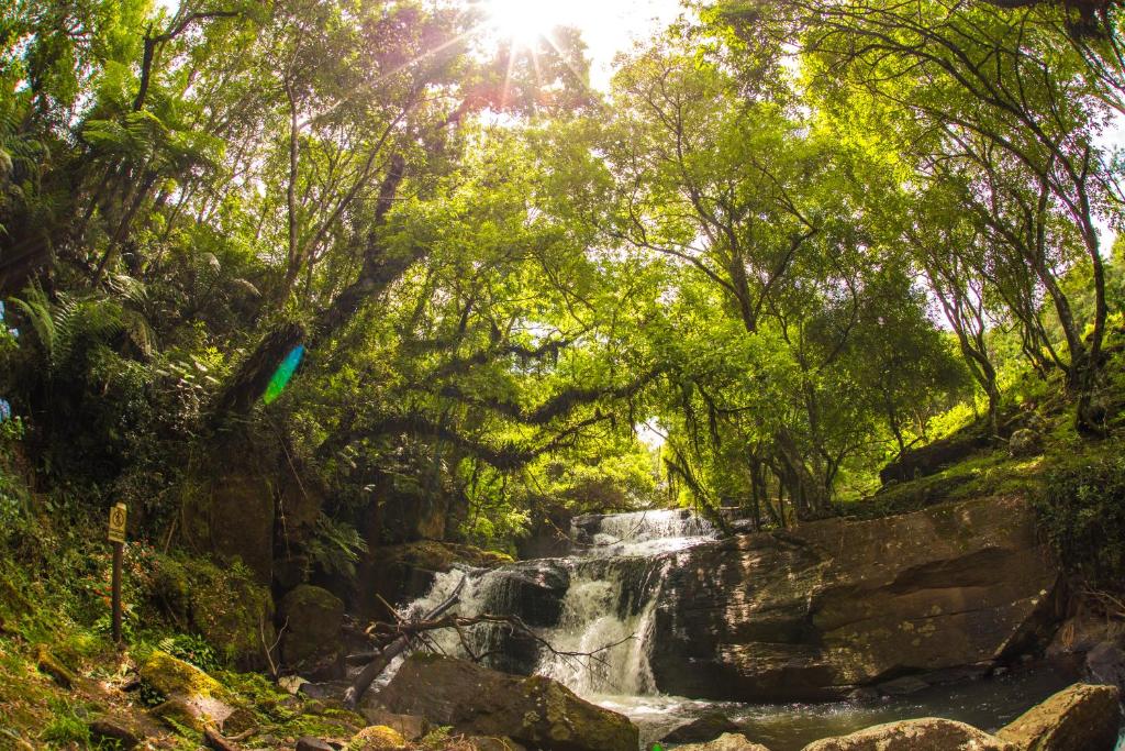 a waterfall in the middle of a forest with trees at Quedas Park Hotel in Abelardo Luz