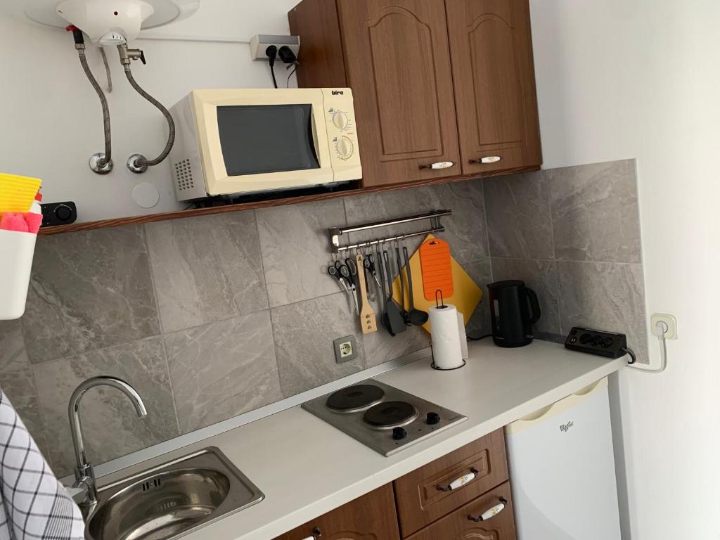 a kitchen counter with a microwave and a sink at Klancic 10 in Novi Vinodolski