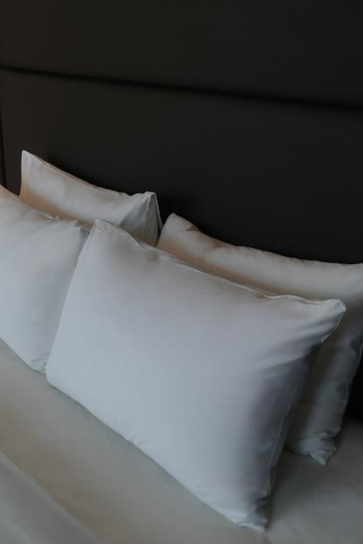 Suite Nhìn Ra Thành Phố