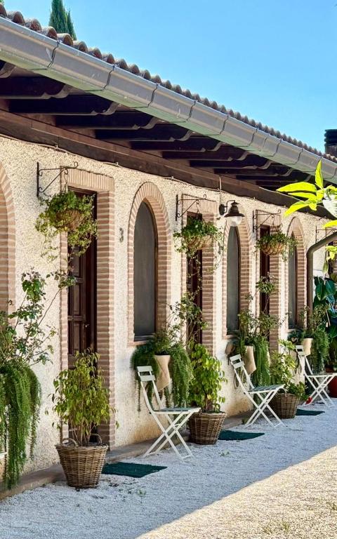 a building with chairs and potted plants at country house in Ardea